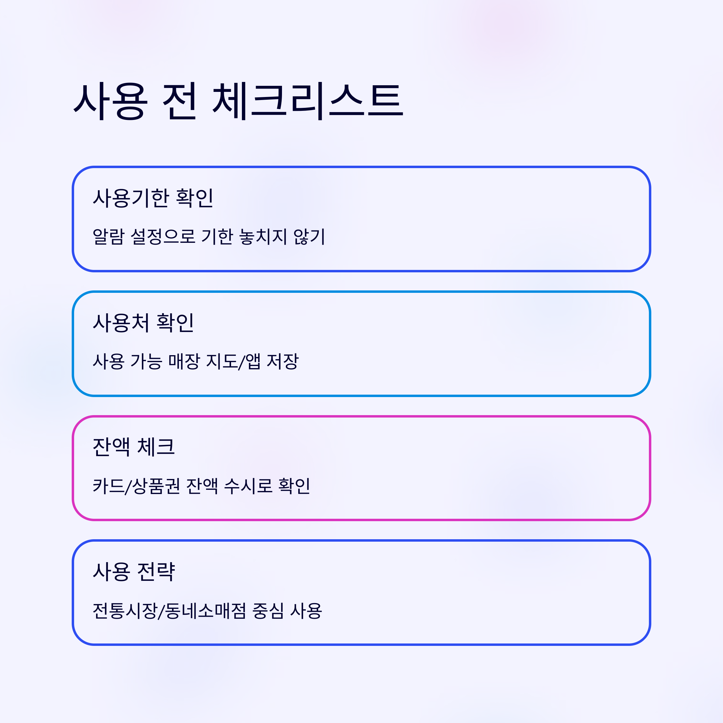 2025 민생지원금