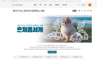 제주 반려견과 함께 가기 좋은 펫프렌들리 숙소 리스트_14