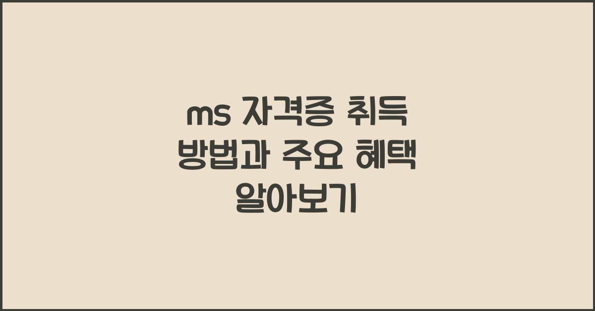 ms 자격증