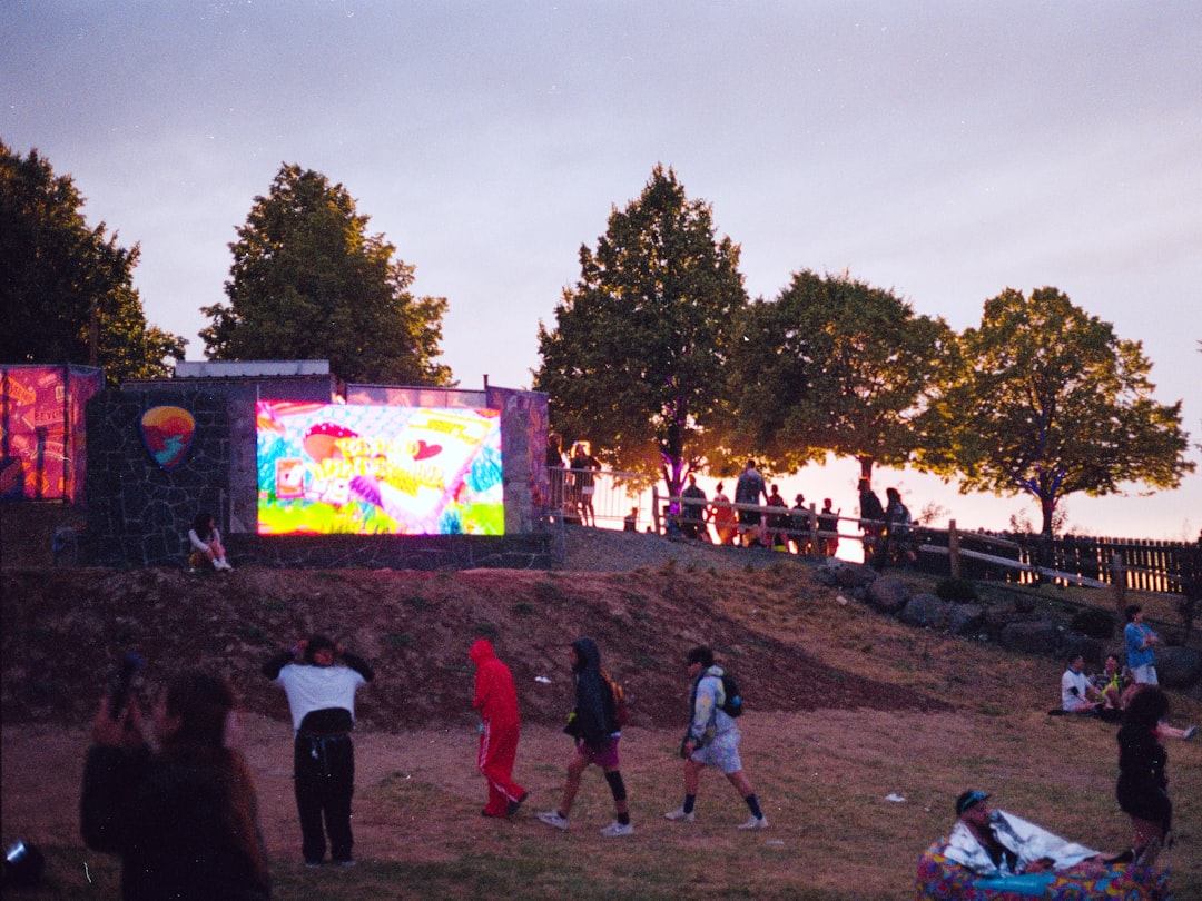 'Festival'
