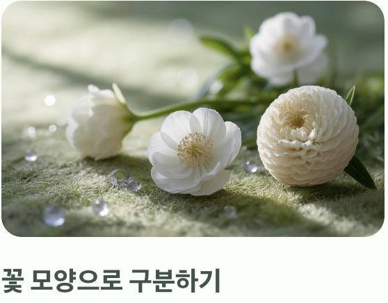 한눈에 보는 결정적 차이점