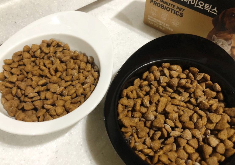 강아지영양제 원미닛펫 프로바이오틱스 후기