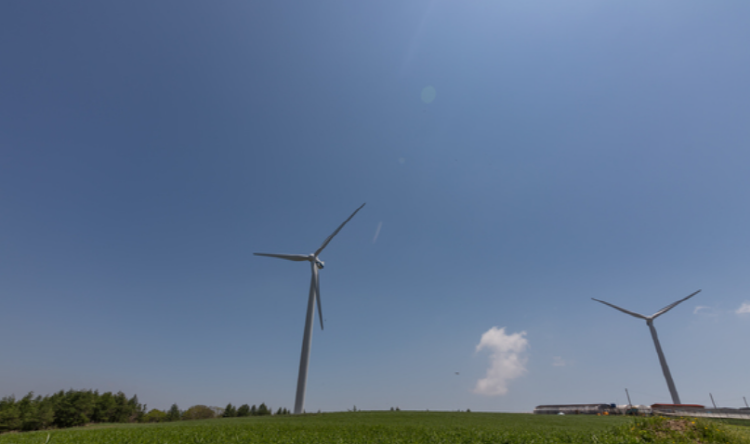 평창 육백마지기