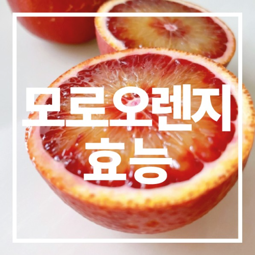 모로오렌지 효능