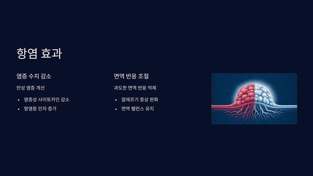 BNR17 유산균 효능