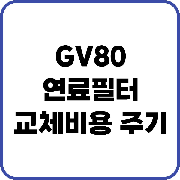 GV80 연료필터