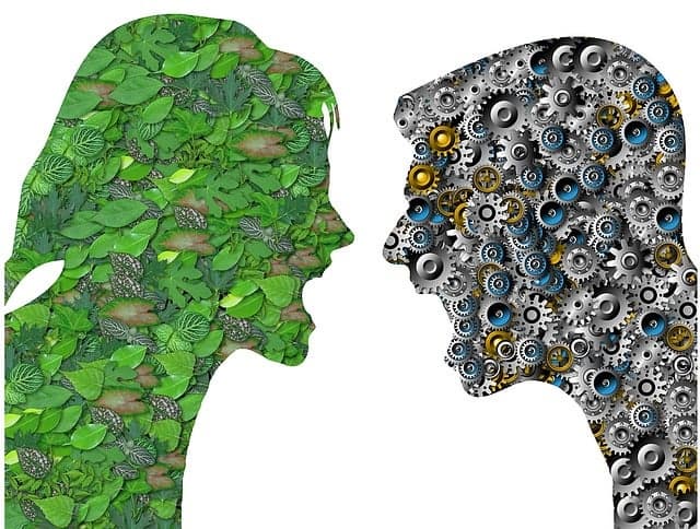 환경 스트레스의 시대 - 기후로 인한 불안과 우울증을 극복하는 방법