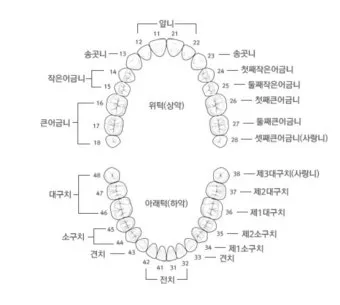 성인 이름의 유래와 축일 선택 가이드_12