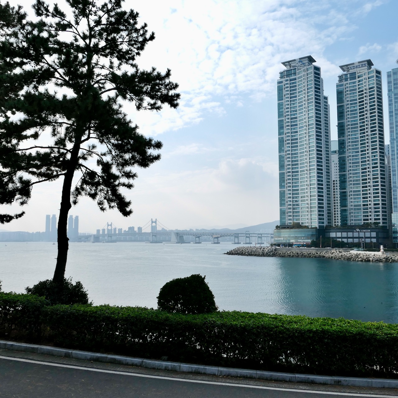 돌아가는 길에 바라보는 광안대교 풍경