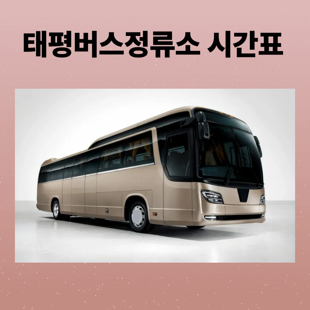 태평버스정류소 시간표 및 예매, 주차장 위치와 주변 맛집 완벽 정리