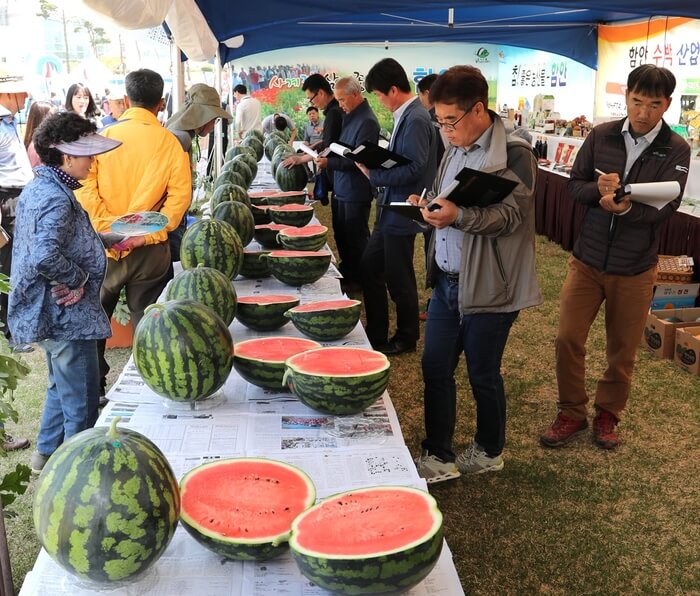 2025 함안 수박 축제 일정 프로그램 장소