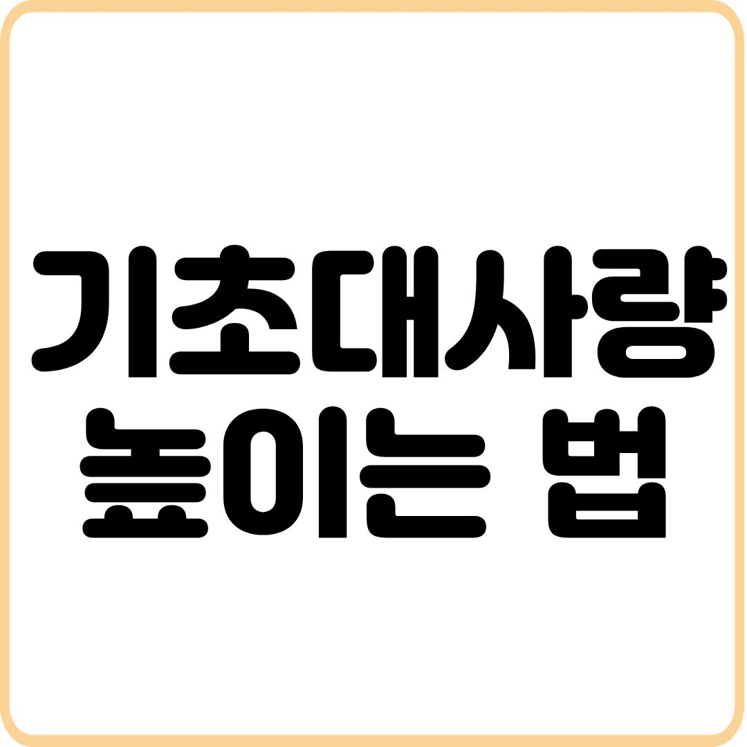 기초대사량-높이는법