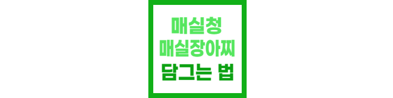 매실청 담그는법, 매실장아찌 담그는법