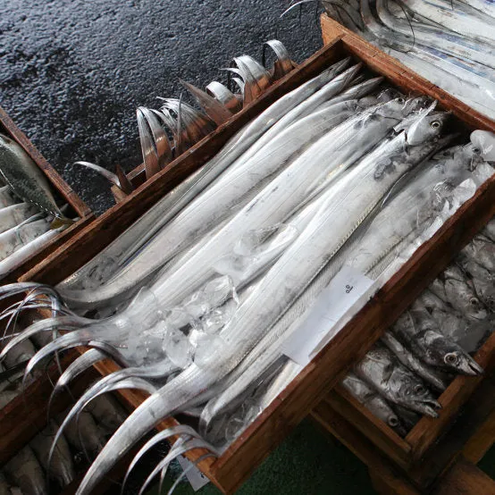 제주 갈치 낚시 물때 포인트_3