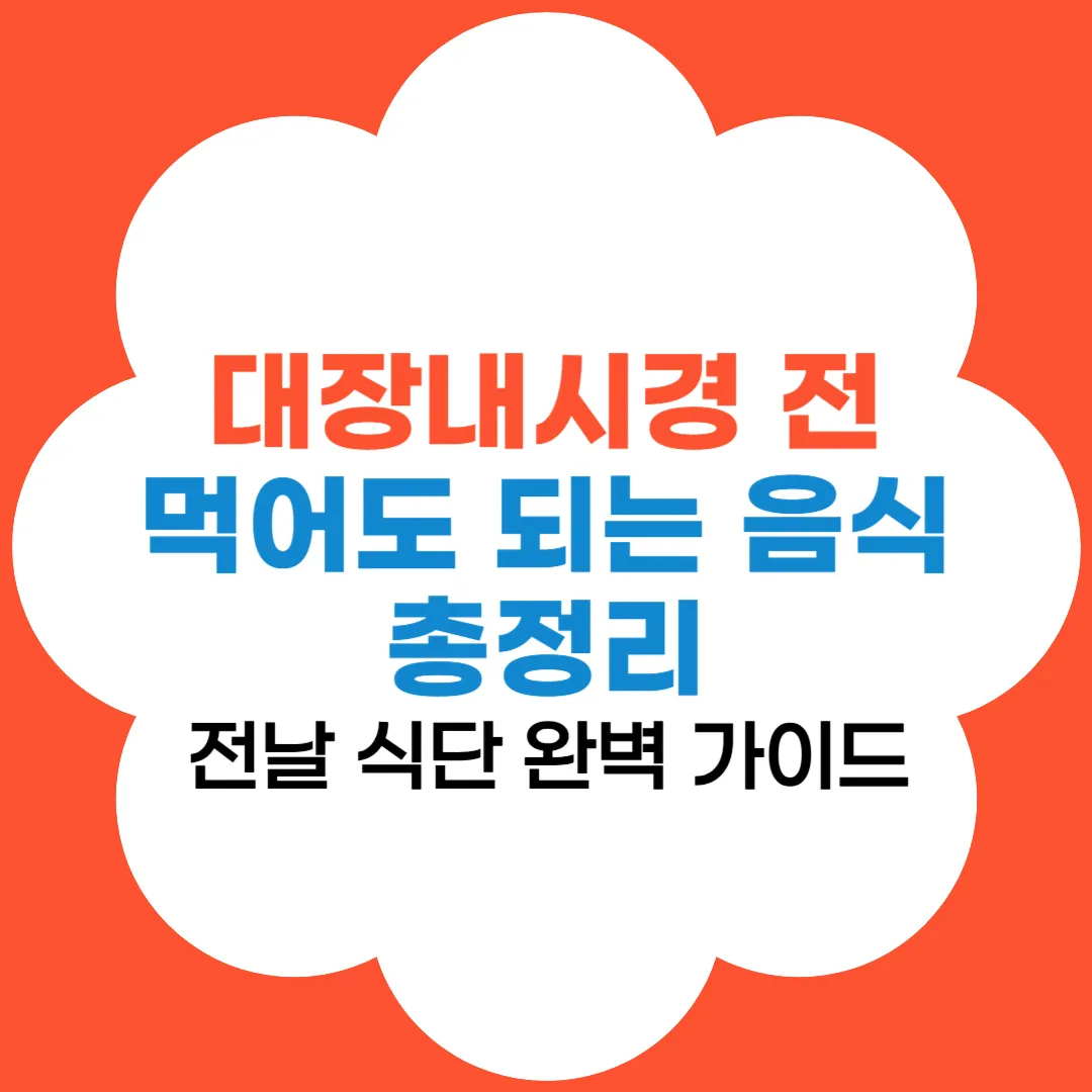 대장내시경 전 음식