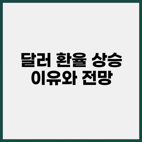 달러-환율-올라가는-이유-앞으로의-전망