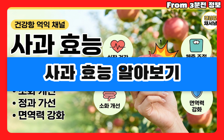 사과 효능 알아보기