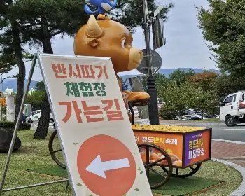 청도 반시축제_16