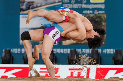 씨름대회