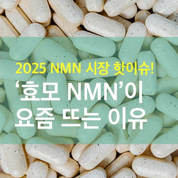 효모 NMN이 갑자기 주목받는 배경
