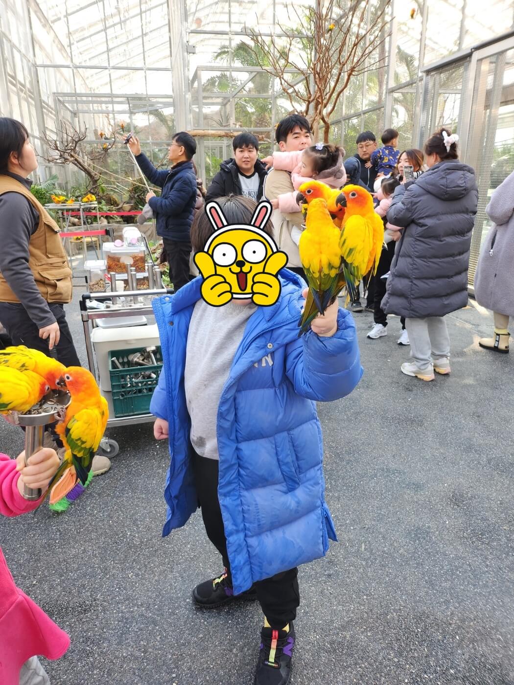 가평 베고니아 정원