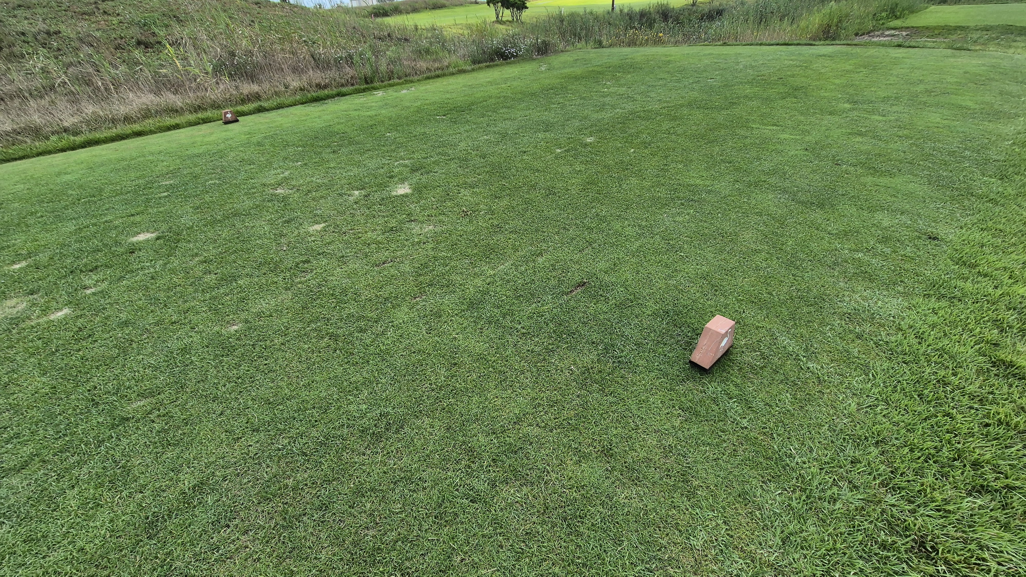 플라밍고cc 듄스-링크스 코스 라운드 후기