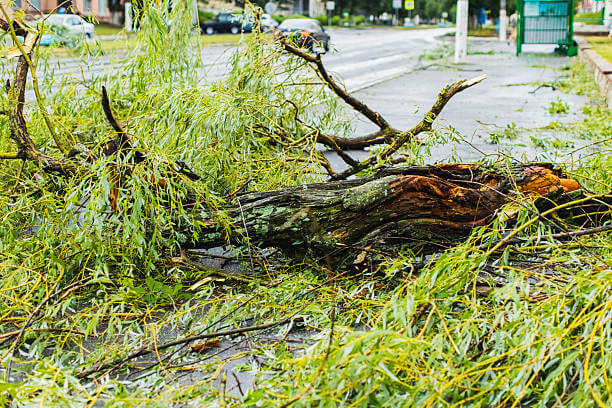 2025년 경기도청 풍수해·지진재해보험 완벽 가이드: 신청 방법부터 지원 혜택까지!!