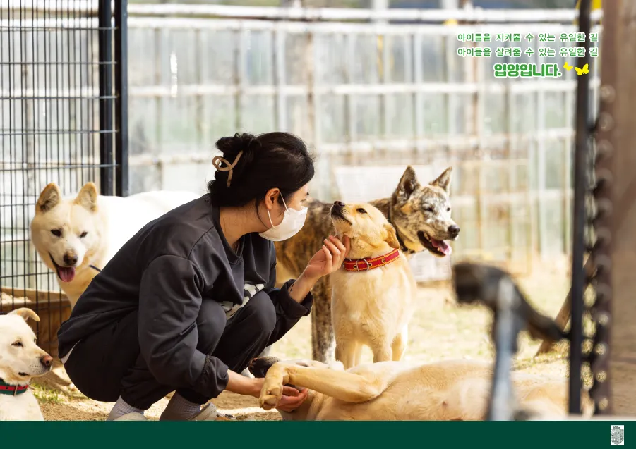 유기동물 사진전