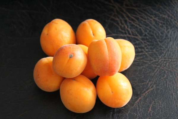 살구의 건강 효능 6가지