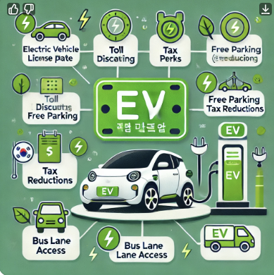전기차 전용 번호판과 혜택 관련 사진