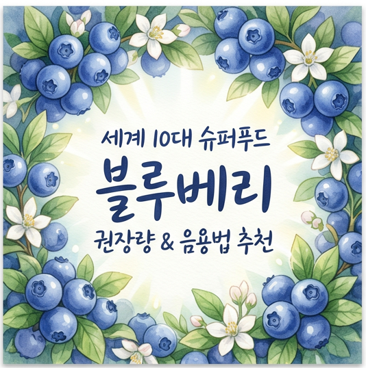 세계 10대 슈퍼푸드 2탄 블루베리, 권장량과 음용법 추천