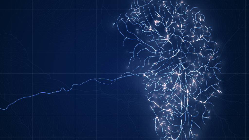 뇌의 신경들이 서로 연결된 이미지