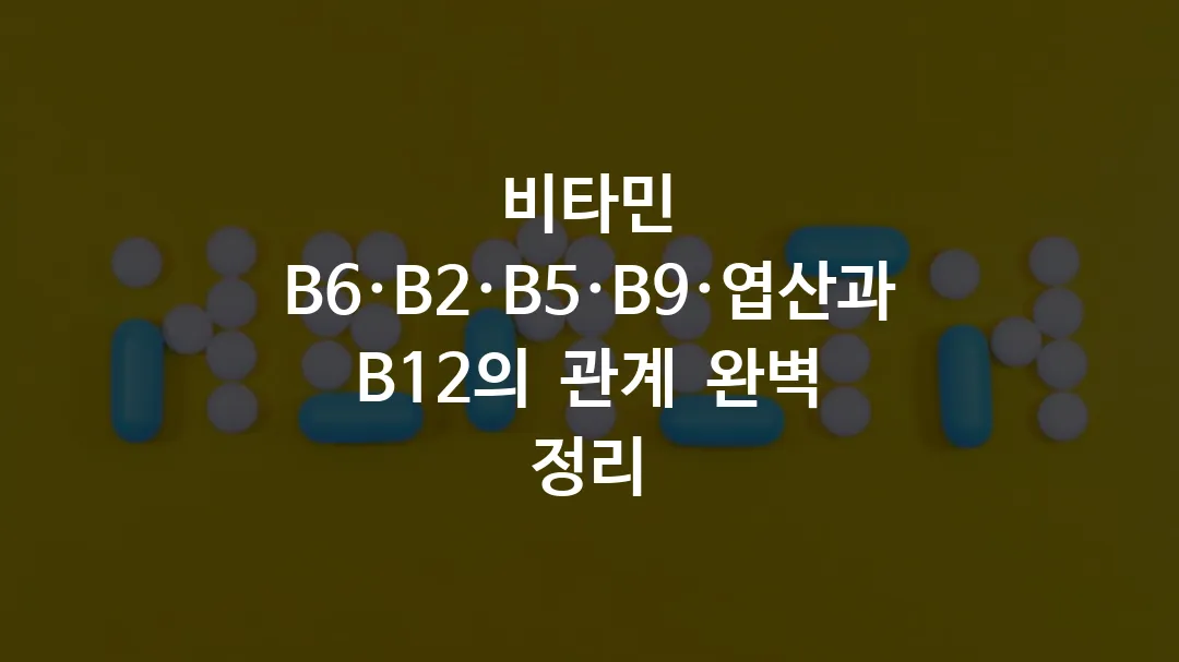 비타민 B6·B2·B5·B9·엽산과 B12의 관계 완벽 정리