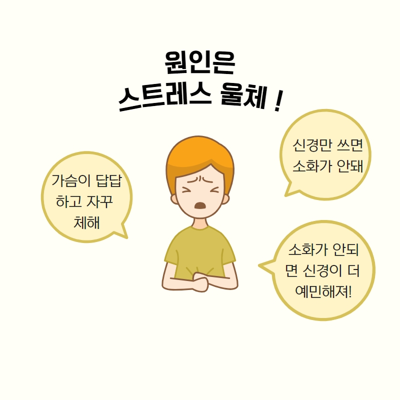 스트레스와 소화의 관계