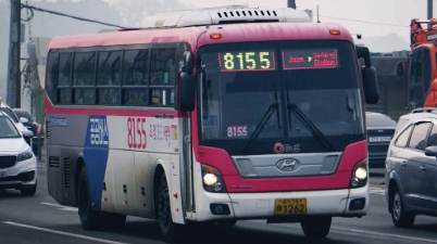 8155번 버스