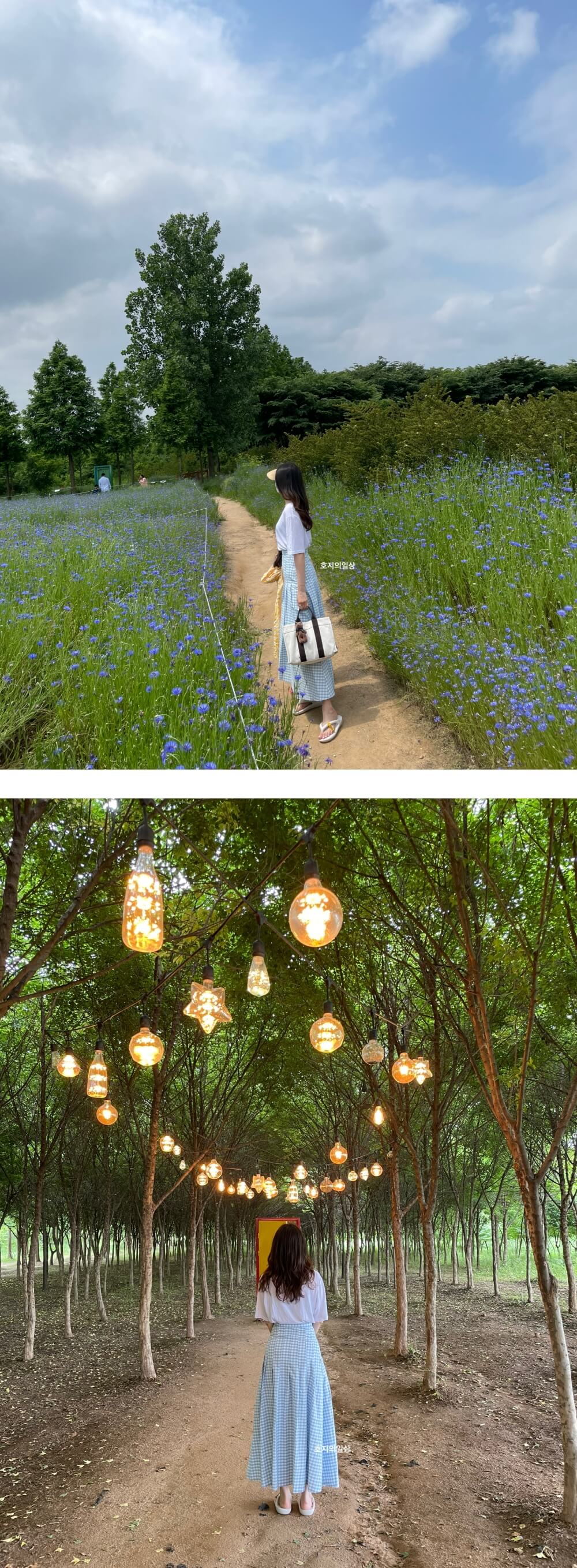 발편한 쪼리 토앤토 플립플랍 아그로랜드 방문 코디샷