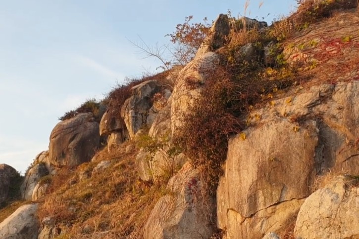 6시내고향 거제 고릴라바위 모습