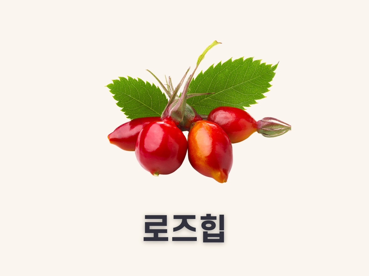 로즈힙