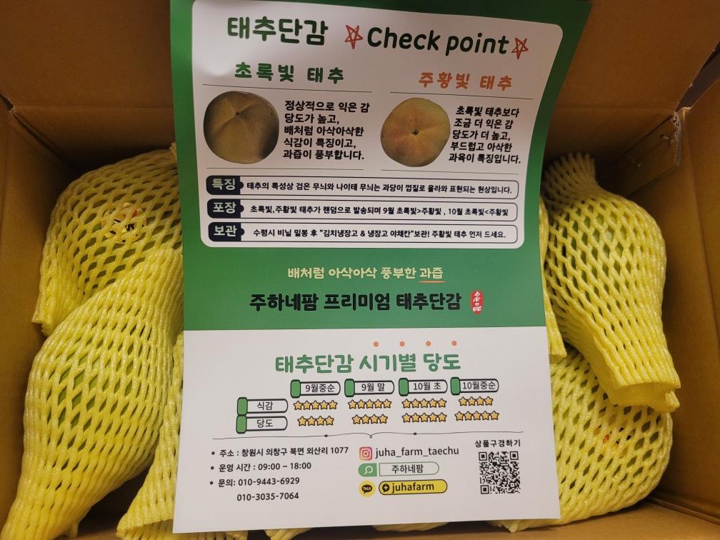 주하네팜 2024년 햇 태추단감 구매 후기