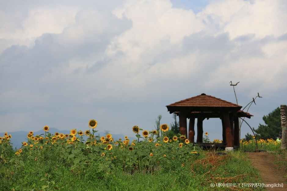 함안 가볼만한곳 베스트10
