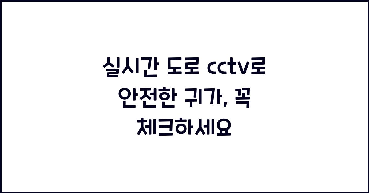 실시간 도로 cctv