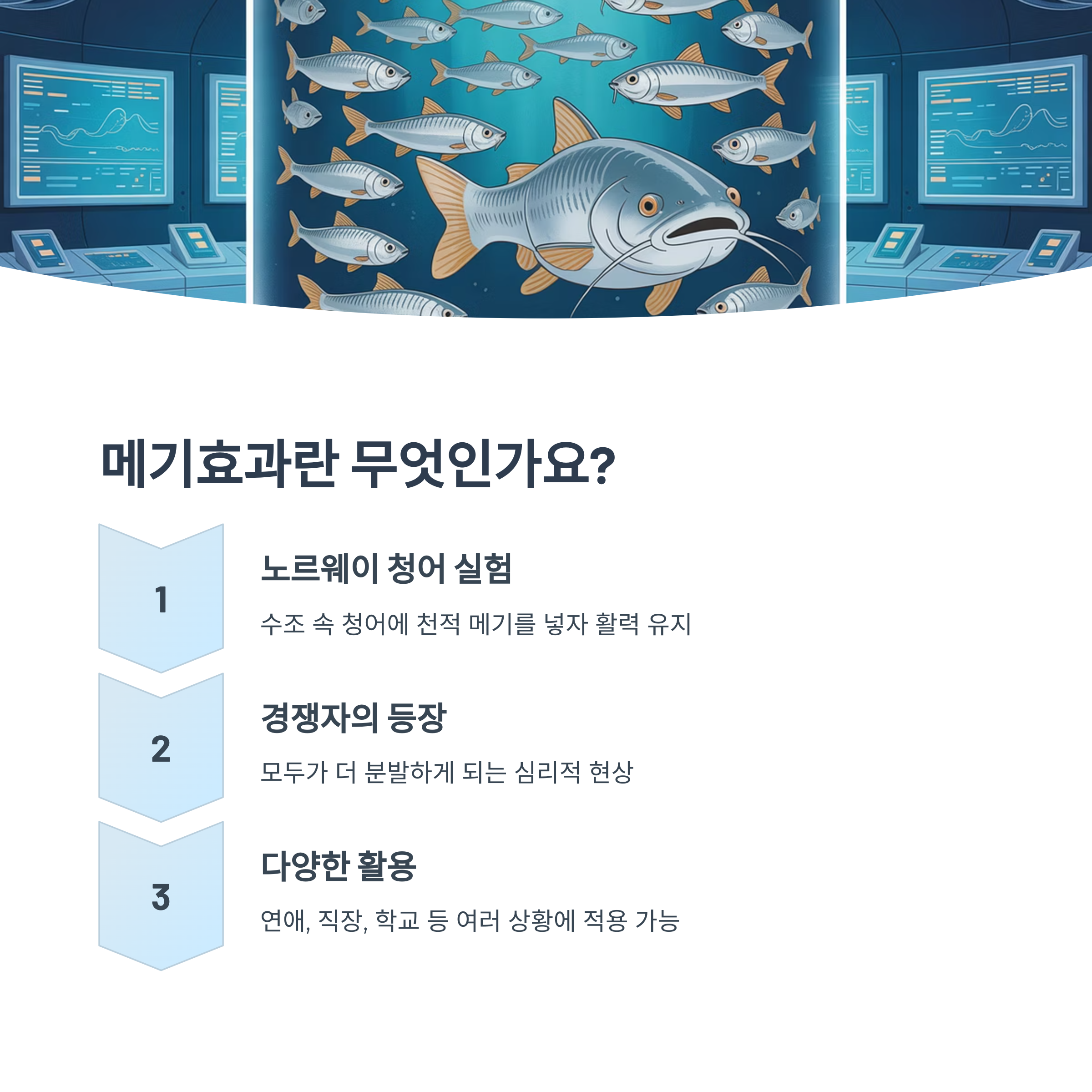 메기효과란 무엇인가요?