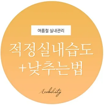 실내 습도 낮추기 젖은 수건 실내 여름철 겨울철 최적 습도_24