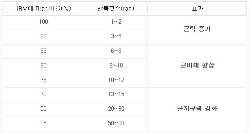 근육 향상표의 모습