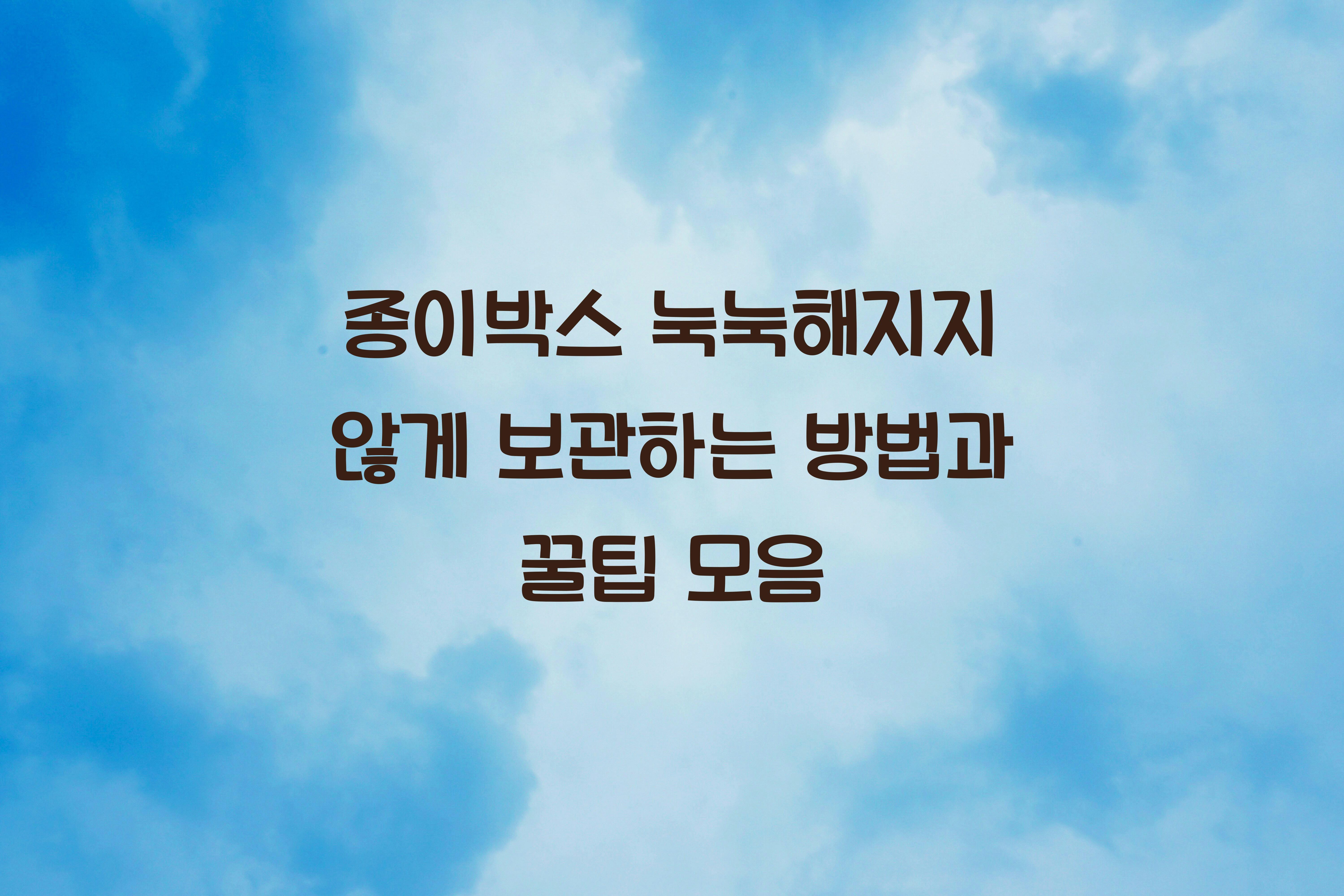 종이박스 눅눅해지지 않게 보관하는 방법