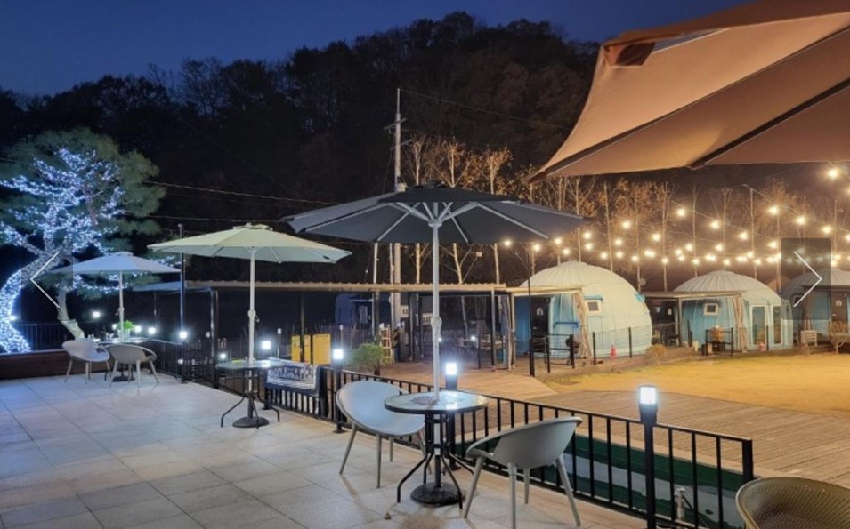 충주 펫트리파크 사진