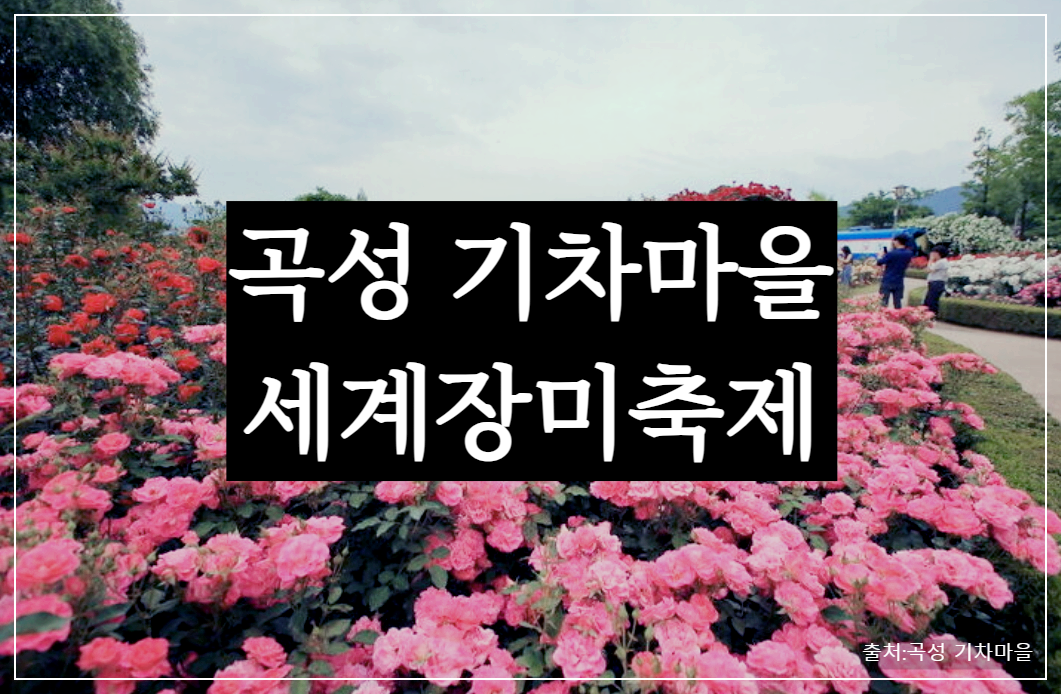 곡성 기차마을 세계 장미 축제