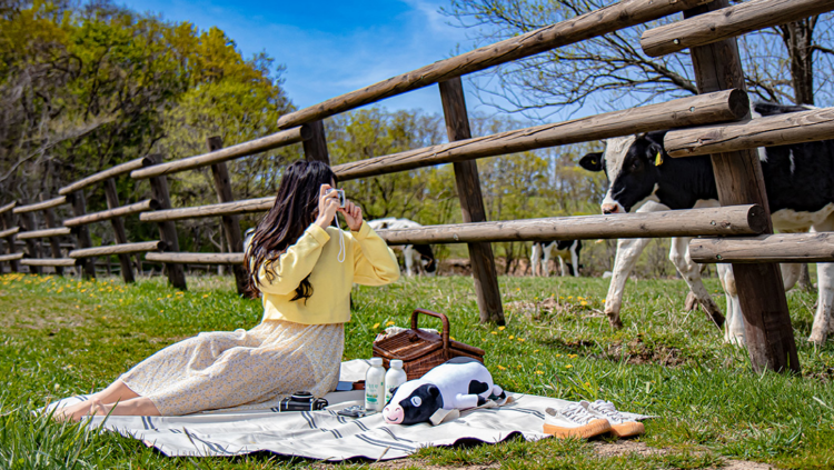 대관령 하늘목장