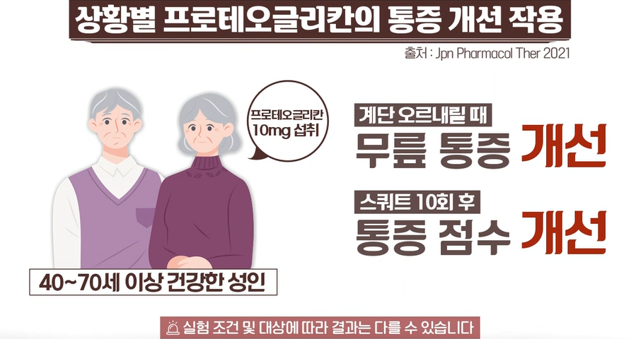 프로테오글리칸 효능