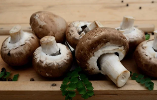 호미곶표고버섯농장